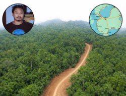 Jalan Trans Kie Raha: Kepentingan Tambang Berkedok Konektivitas Antarwilayah 