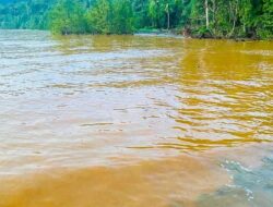 Sedimentasi Lumpur Kepung Pesisir Maba, Aktivitas PT Feni Haltim Diduga Pemicu Utama