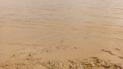 Permukaan laut Subaim