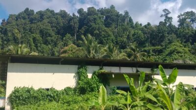 Foto:fasilitas PLTD Yaba milik PLN Area Ternate, dipenuhi semak belukar dan tanaman merambat.