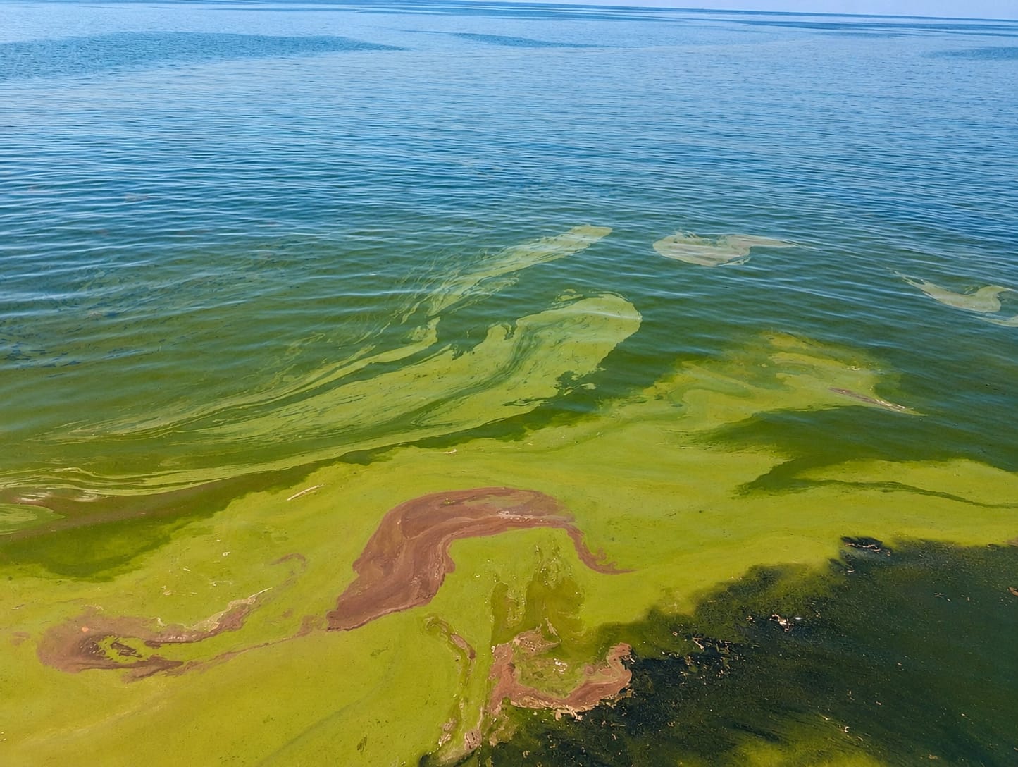 Foto: Perubahan warna perairan di pesisir Desa Jikotamo dan Dermaga Jojame, Kecamatan Obi, Halmahera Selatan, Maluku Utara.