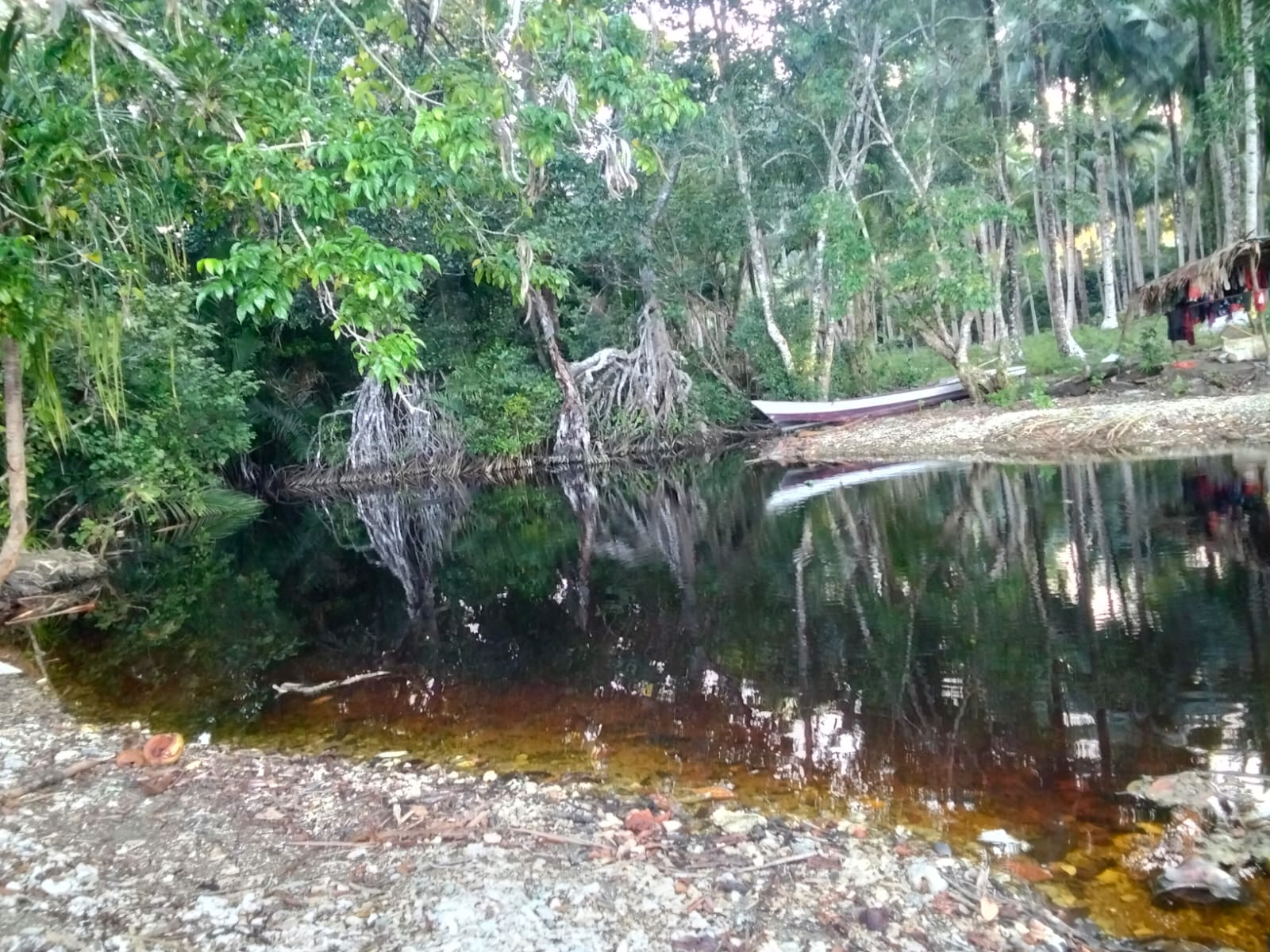 Kondisi Sungai Marsogili, yang menjadi sumber penopang kehidupan masyarakat tampak sudah tercemar.