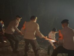 Kobaran Api Hanguskan 2 Hektare Kebun Warga di Halmahera Barat 